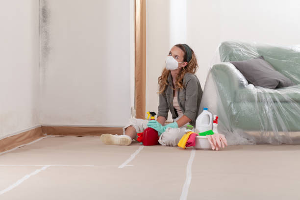 Reliable Mold Cleanup contractor in Pineville, NC by Cheap Mold Removal